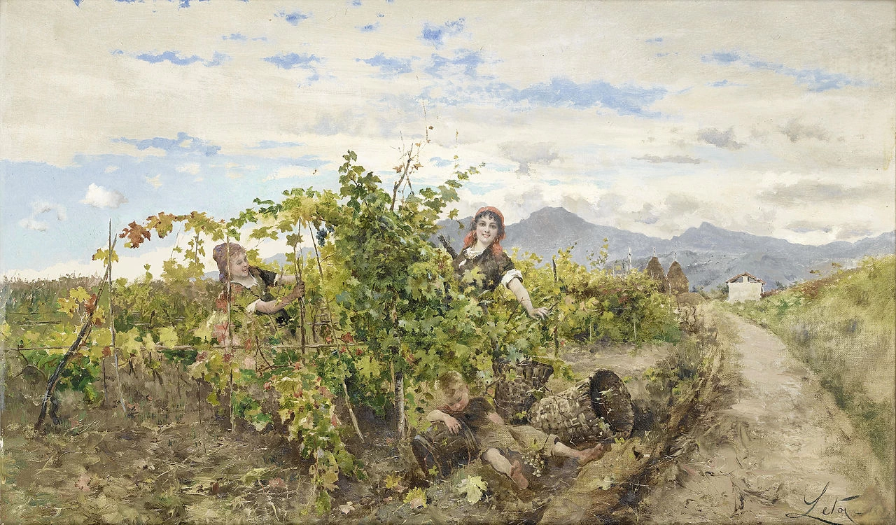 Ragazze alla vendemmia